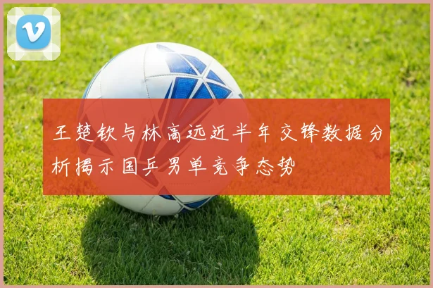 王楚钦与林高远近半年交锋数据分析揭示国乒男单竞争态势